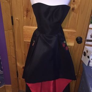 prom/winter formal dress